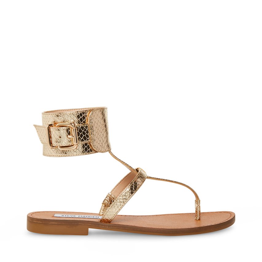 Sandalias Planas Steve Madden Rico Snake Mujer Doradas | ES XQ068S